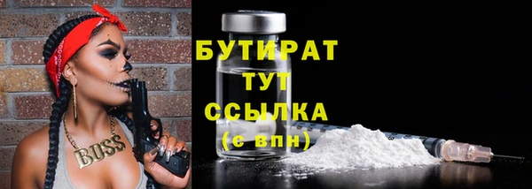 дурь Няндома