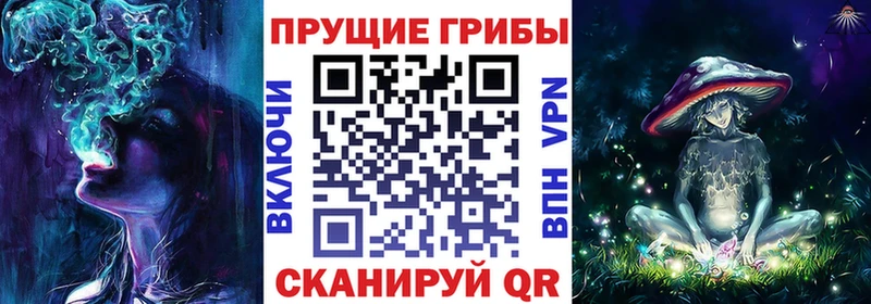 Купить закладки  Кинешма  Галлюциногенные грибы ЛСД 